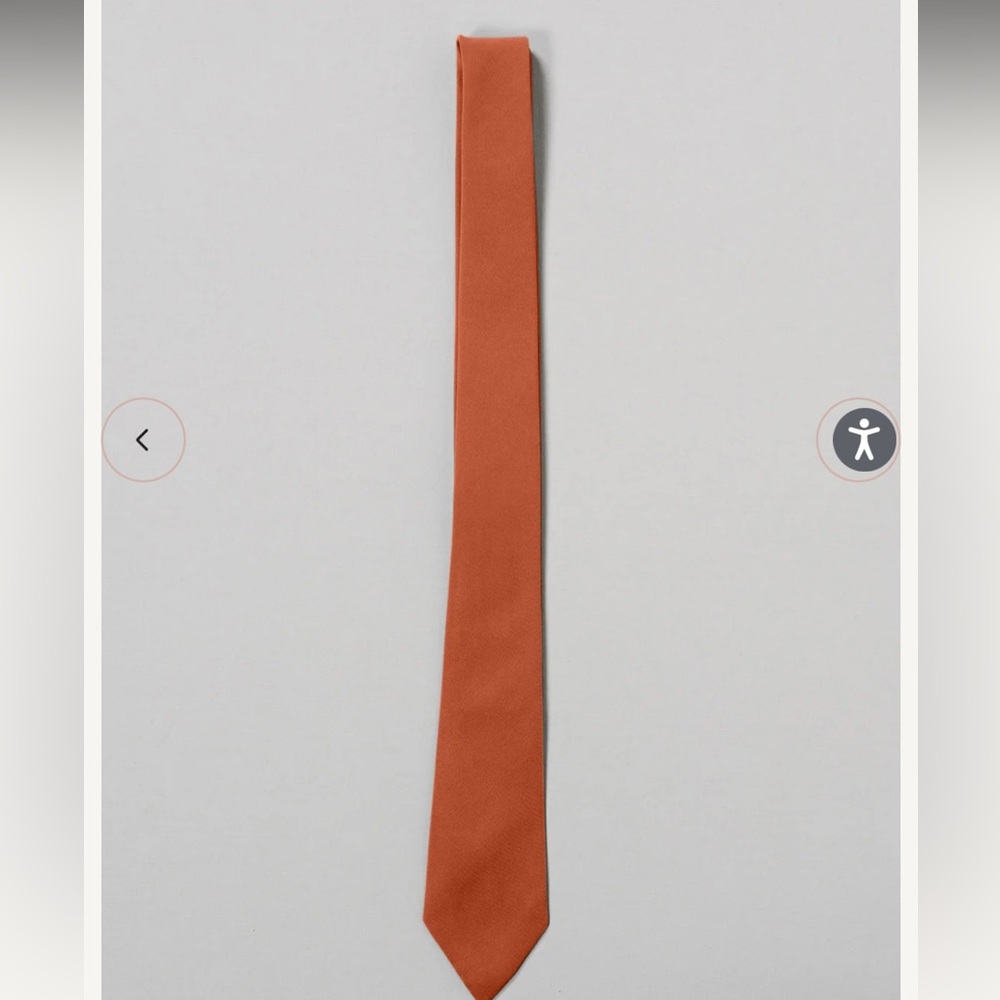 Reverly Rust Orange Chiffon Tie